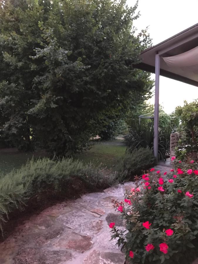 Ca' Borgo Delle Rane Hotel Pernumia Kültér fotó